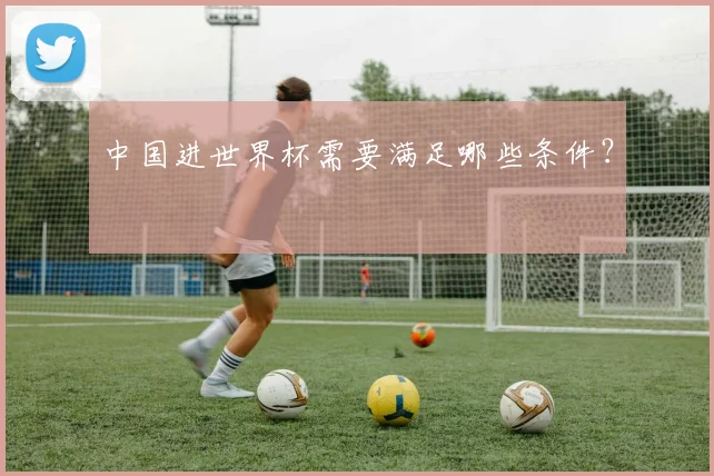 中国进世界杯需要满足哪些条件？
