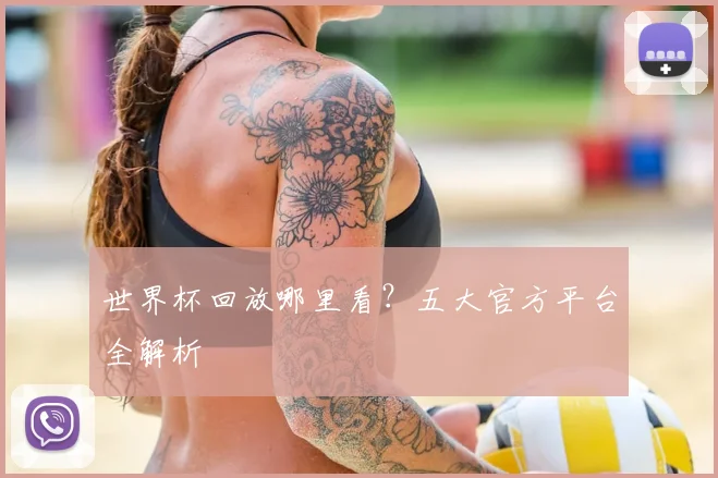 世界杯回放哪里看?五大官方平台全解析
