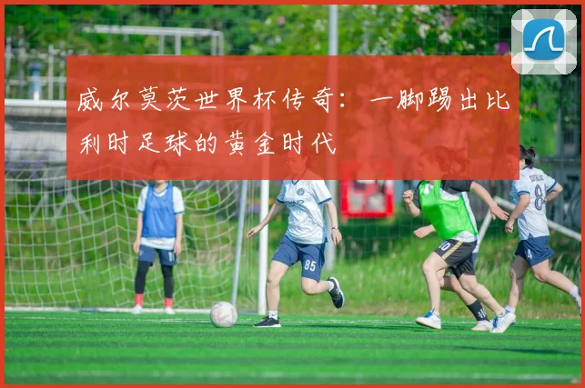 威尔莫茨世界杯传奇：一脚踢出比利时足球的黄金时代