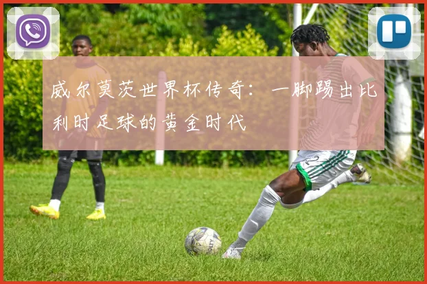 威尔莫茨世界杯传奇：一脚踢出比利时足球的黄金时代