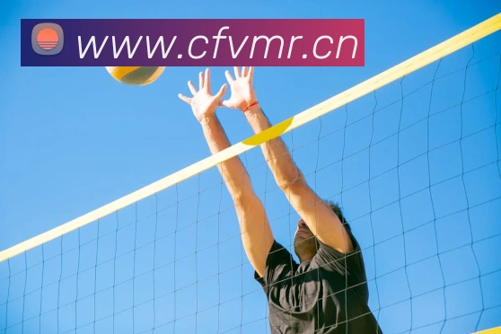 半岛网页版登录入口平台生态图