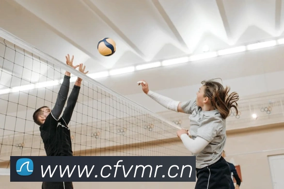 半岛网页版登录入口全站App